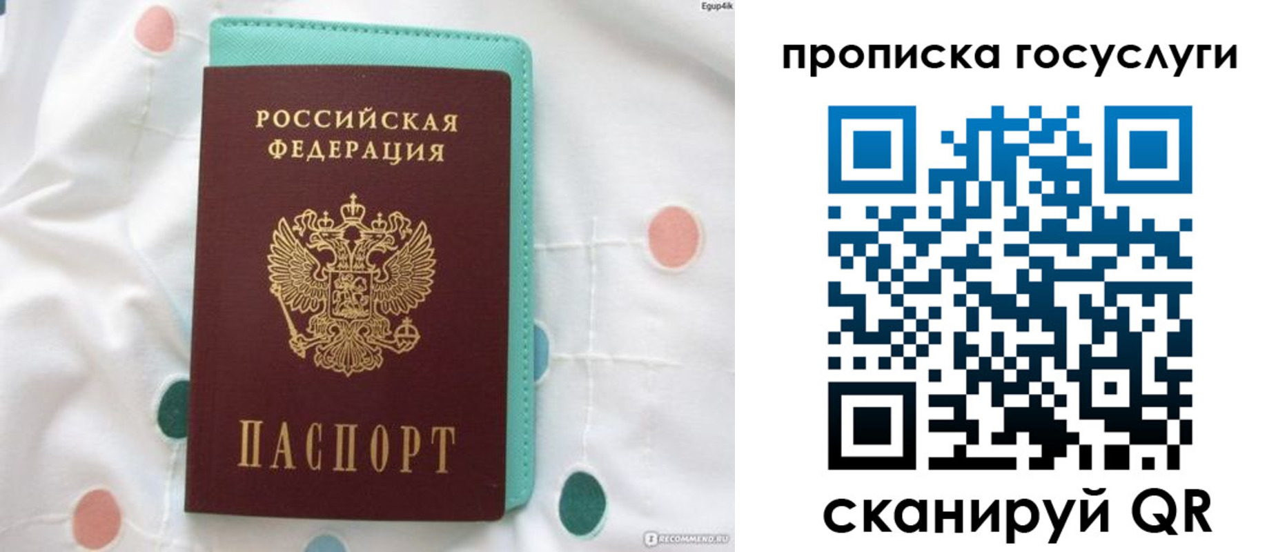прописка поиск в Тереке